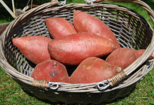 Sweet Potatoes (per kg)