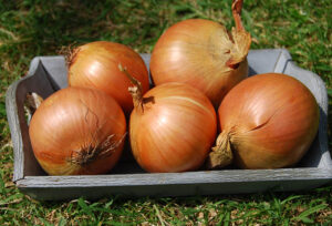Onions White (500g)