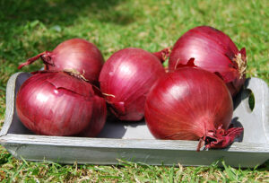 Onions Red  500g