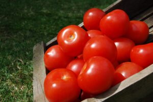 Tomatoes Classic (500g)